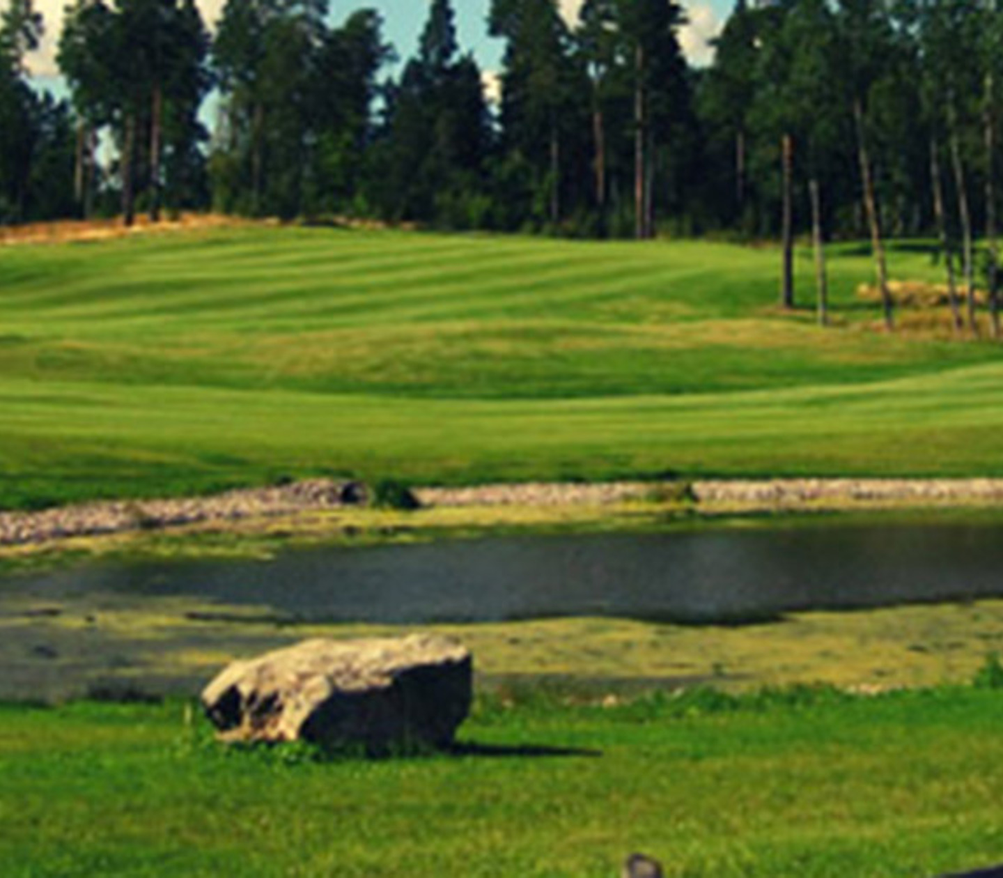 En tom golfbana med träd och vatten