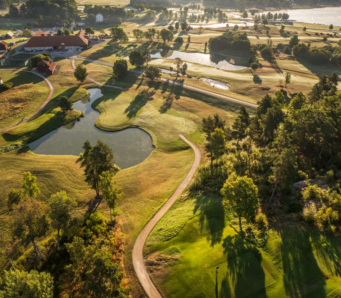 Golfer on a golf course in sunset