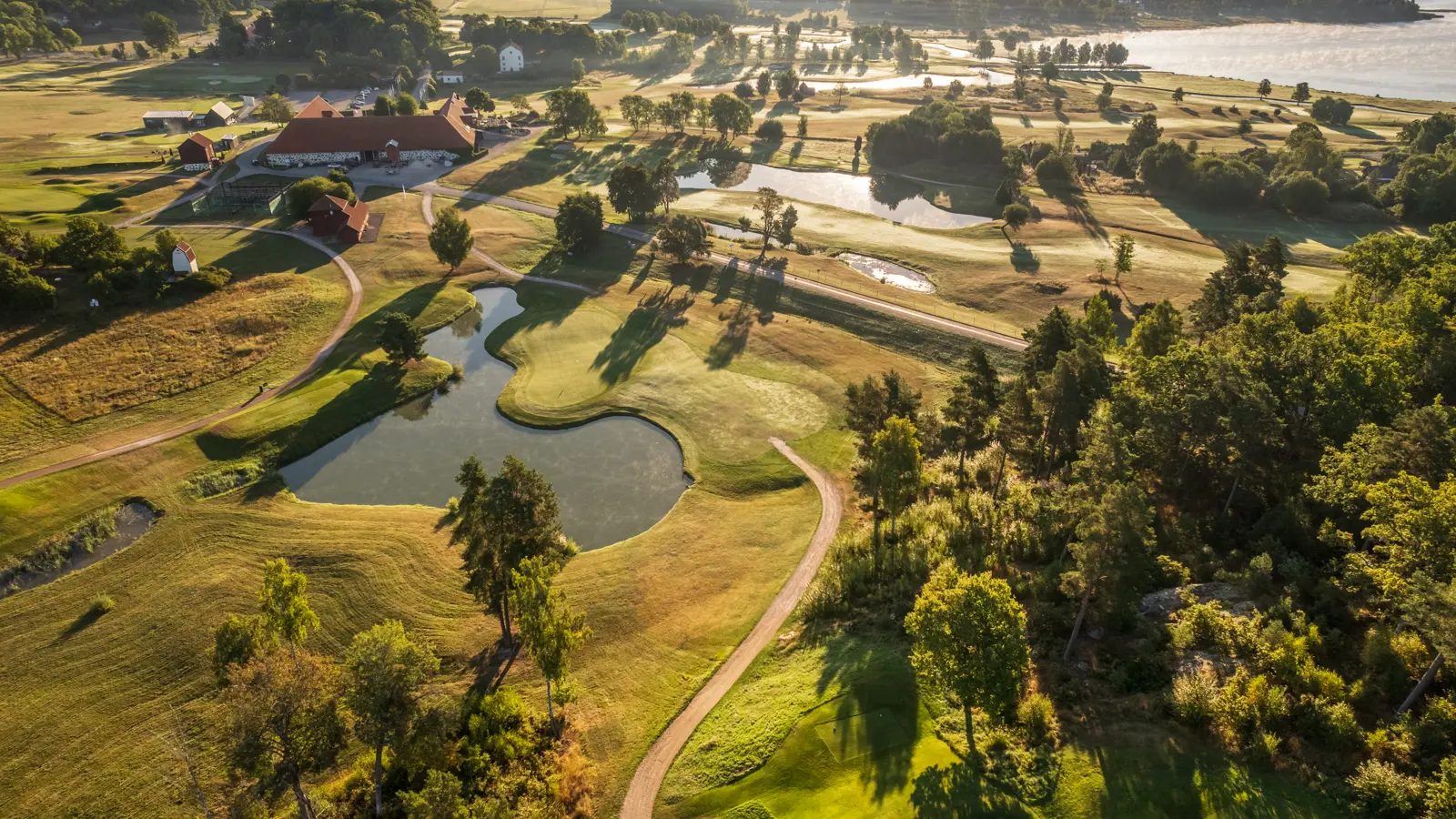 Golfer on a golf course in sunset