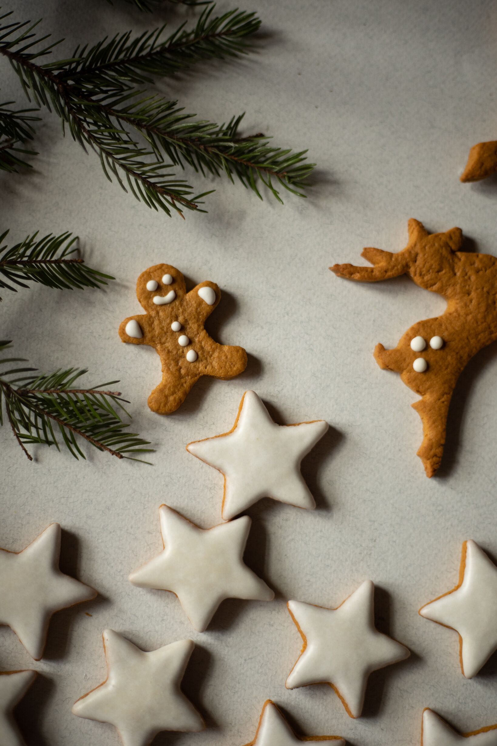 Julstjärnor och pepparkakor med granris