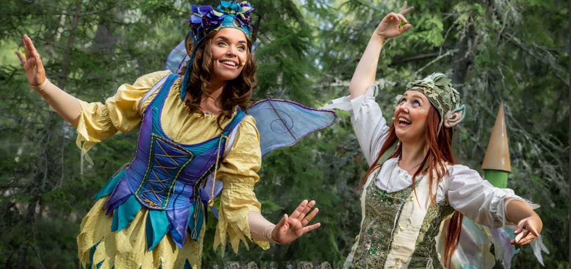 Bild från tomteland