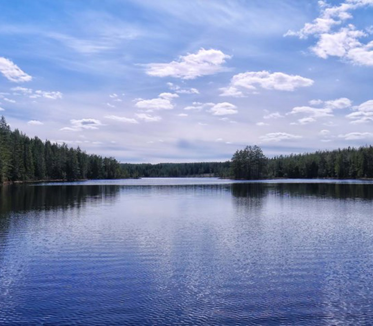 Calm lake, forest in the background and blue sky