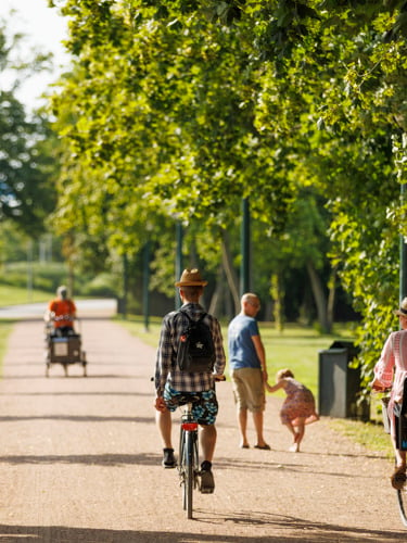 Personer som cyklar i somrig park