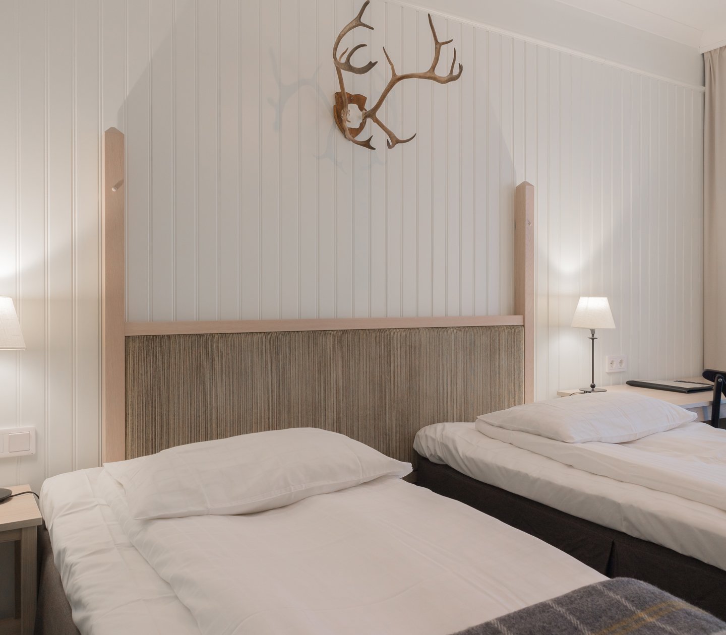 Mysigt hotellrum med separerade sängar, skrivbord och djurhorn på väggen