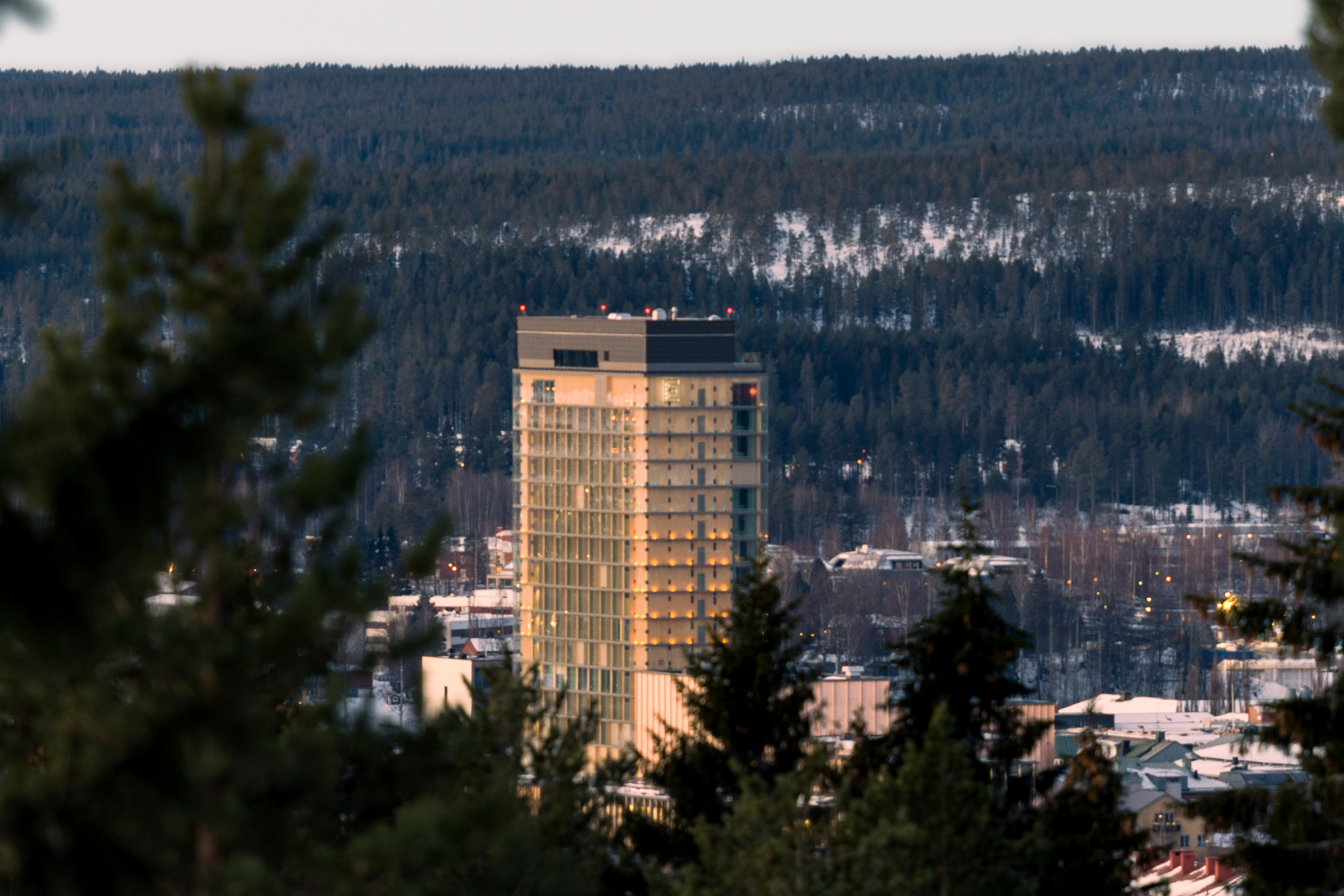 A skyscraper among smaller houses in a forest landscape