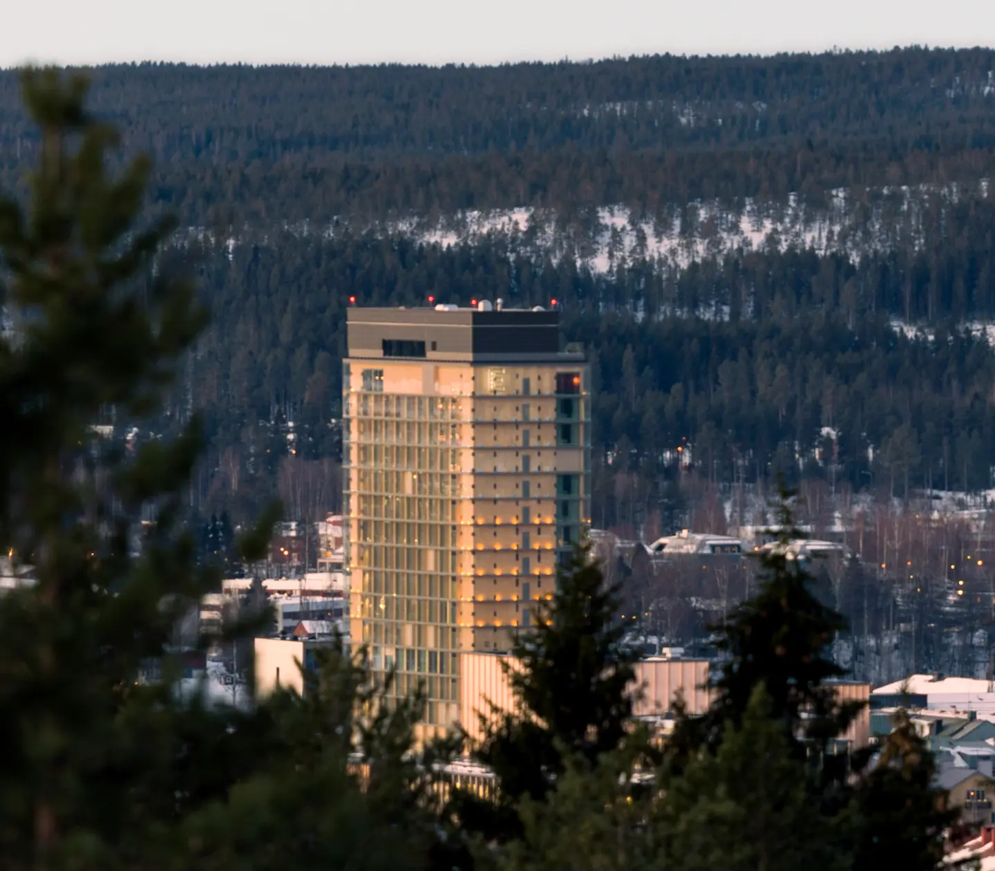 Treetops in the foreground, The Wood Hotel by Elite and wintry forest in the background