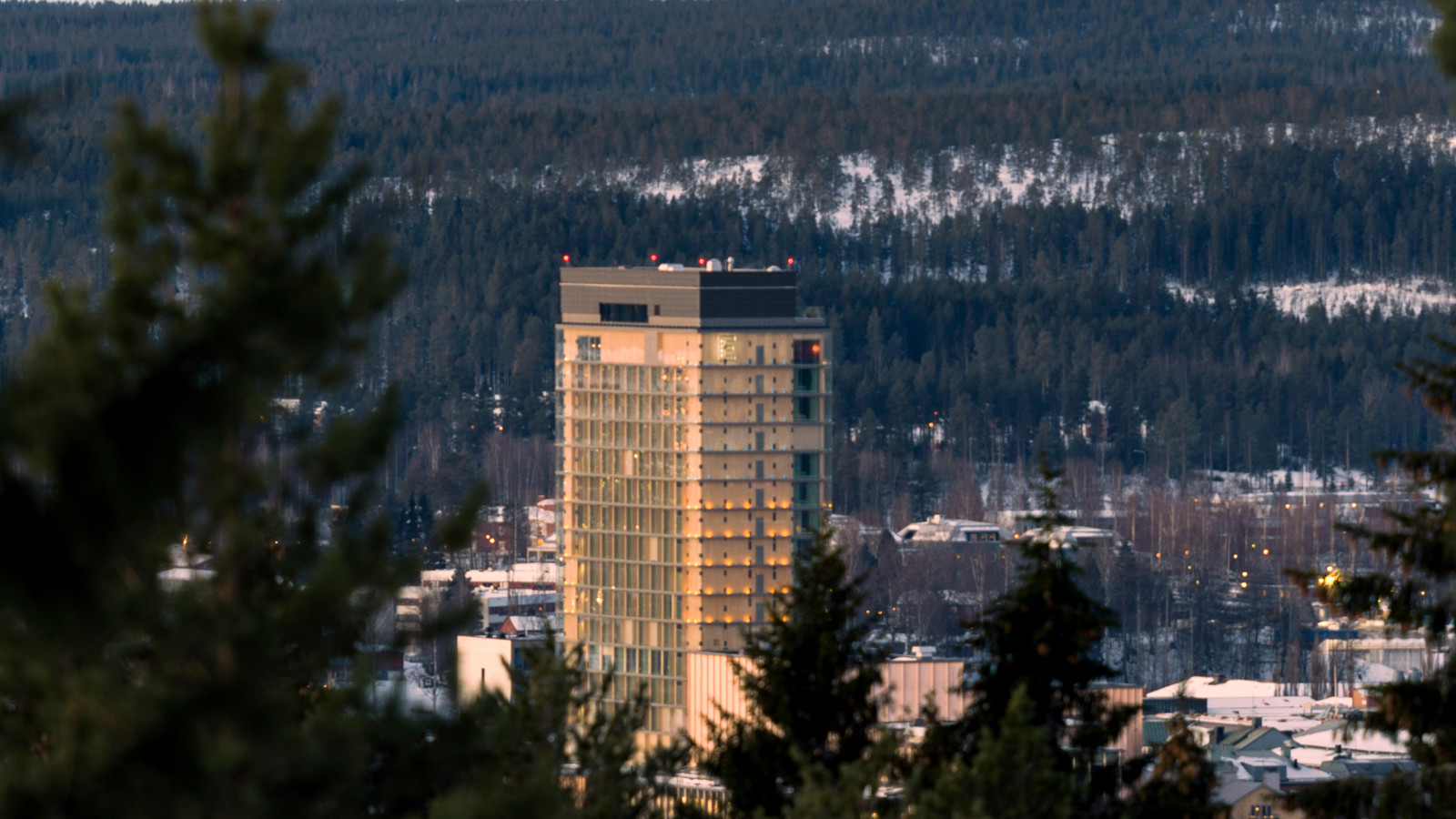 Treetops in the foreground, The Wood Hotel by Elite and wintry forest in the background