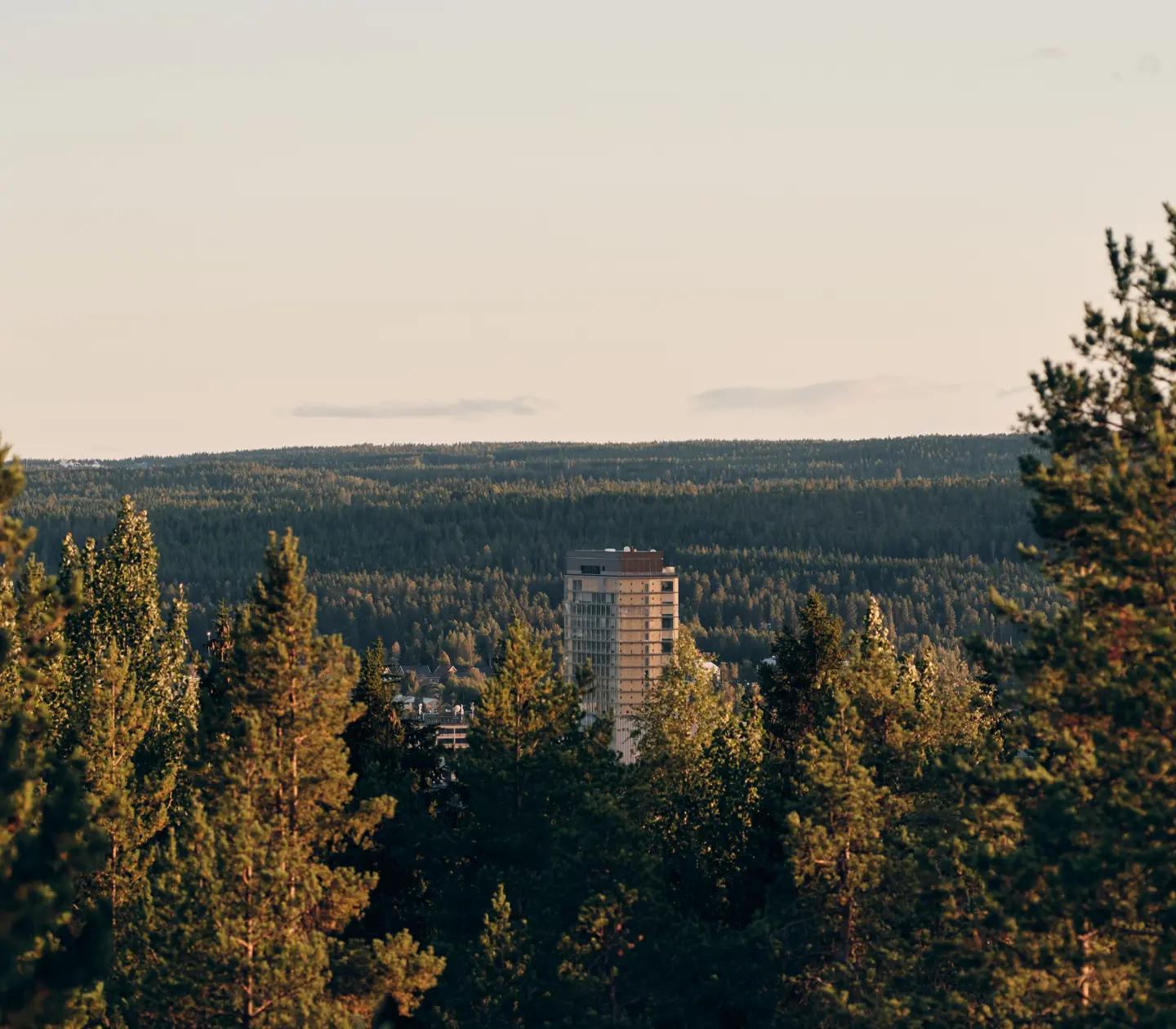 Treetops in the foreground, The Wood Hotel by Elite and forest in the background