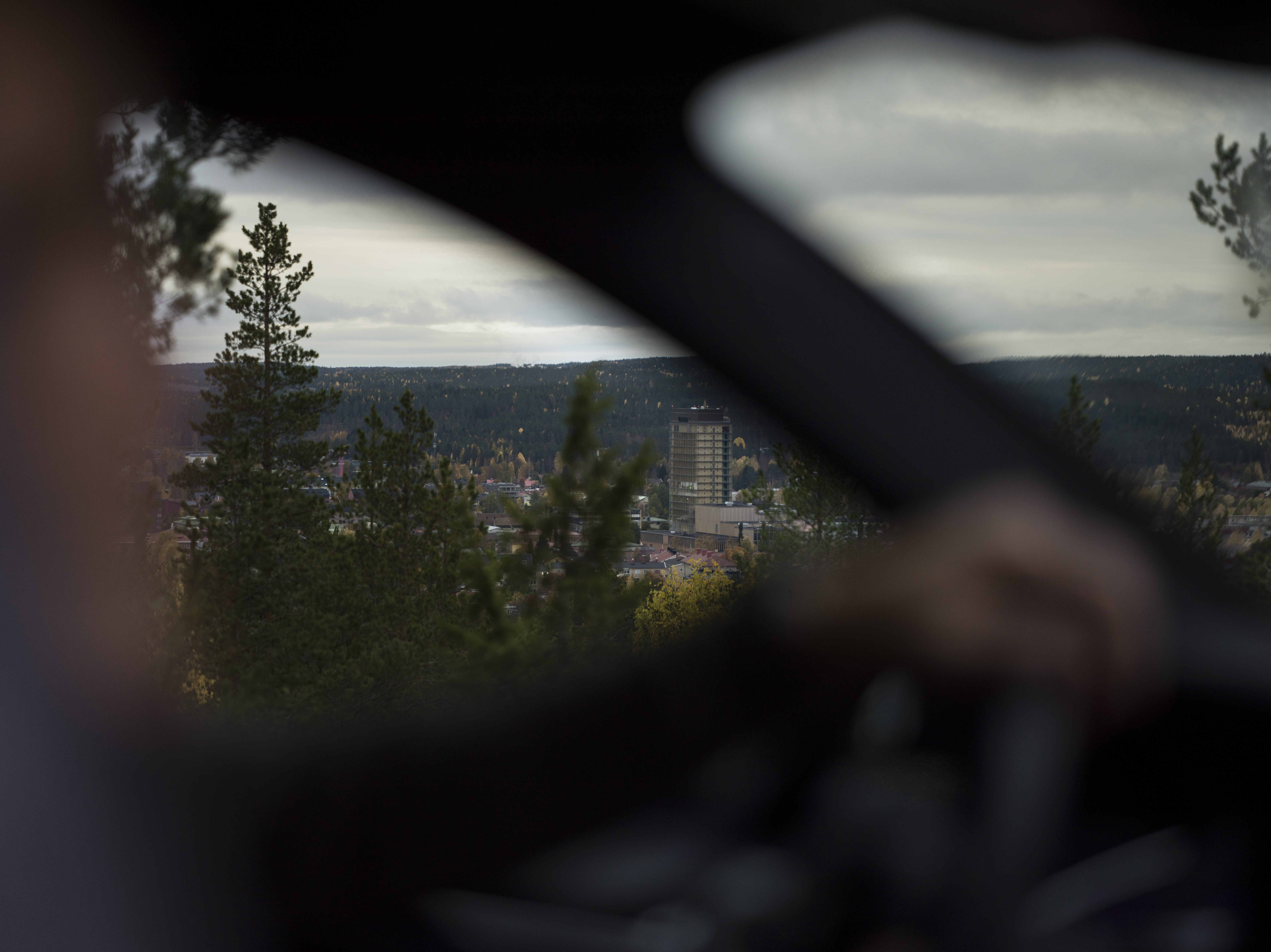Helikoptervy över stad med hus, gator och angränsande skog borta i horisonten