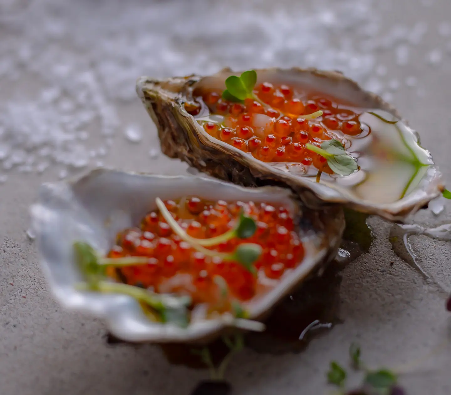 Oysters