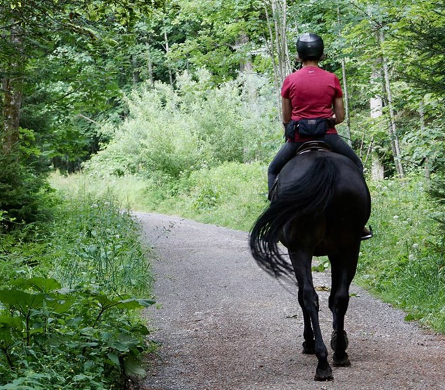 En tjej som rider på en häst i skogen
