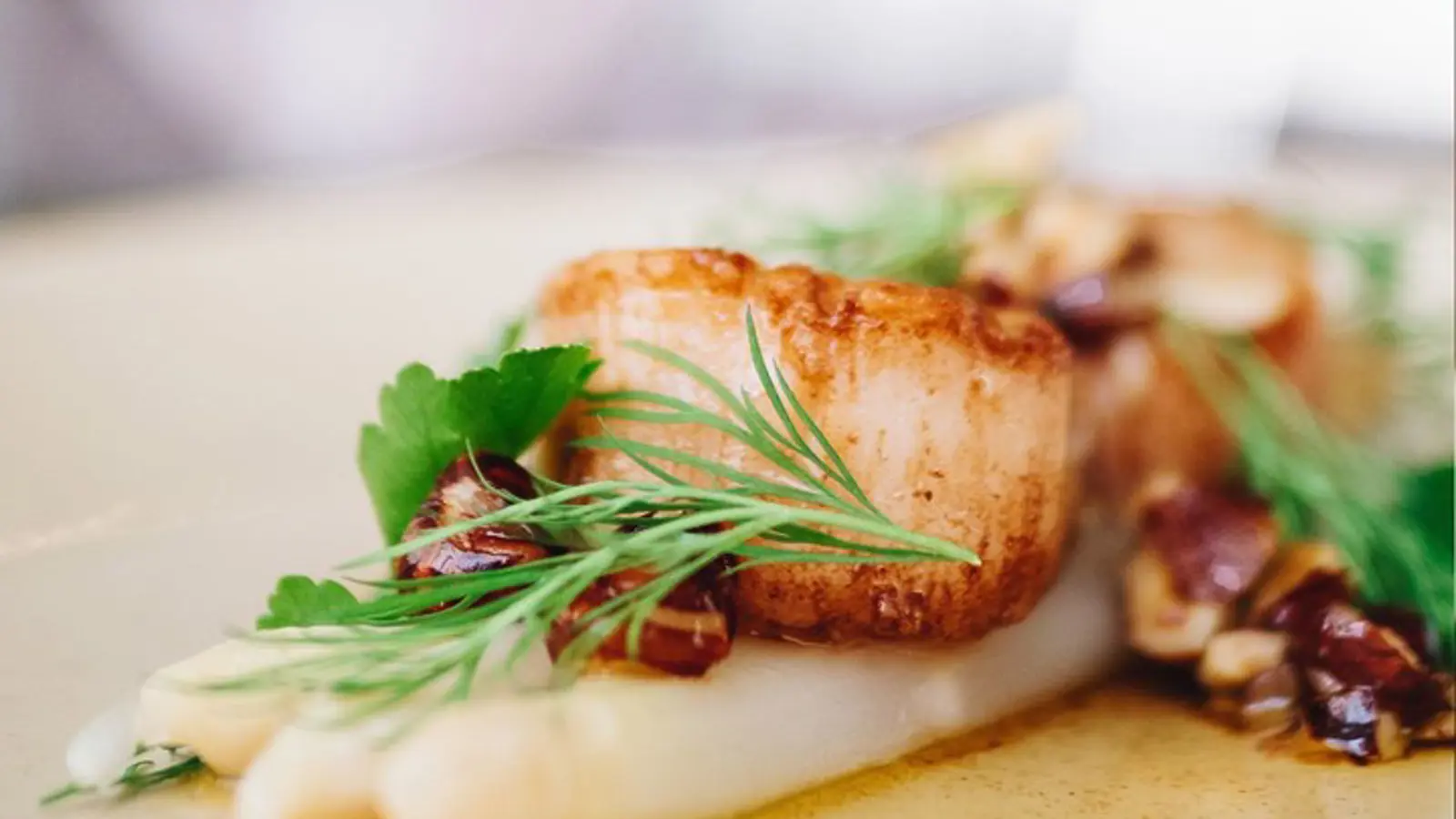 Asparagus nicely served on a plate