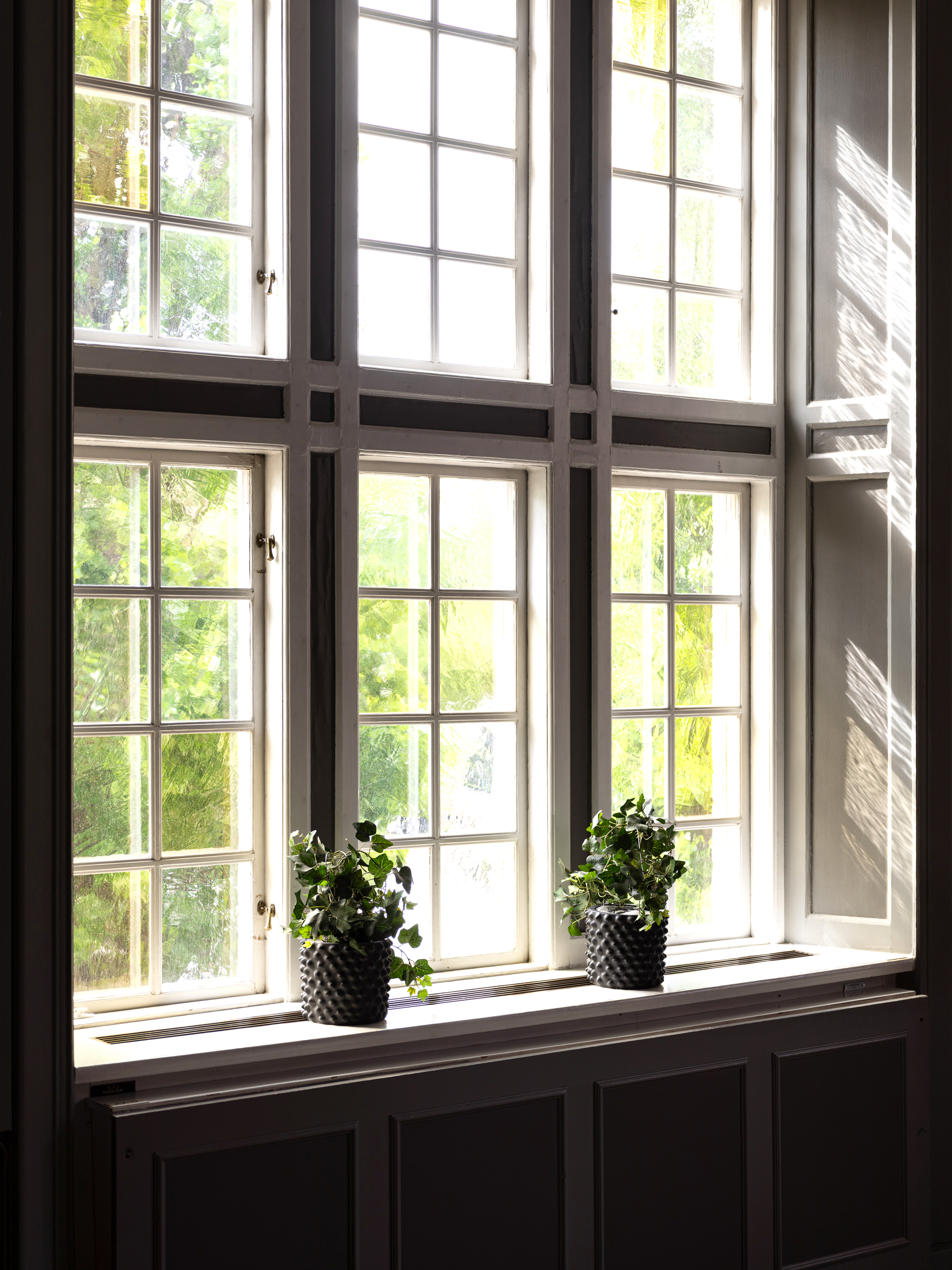 Stort fönster med träkarmar och frodig grönska utanför, två krukväxter på fönsterbrädan, solljus som strömmar in.