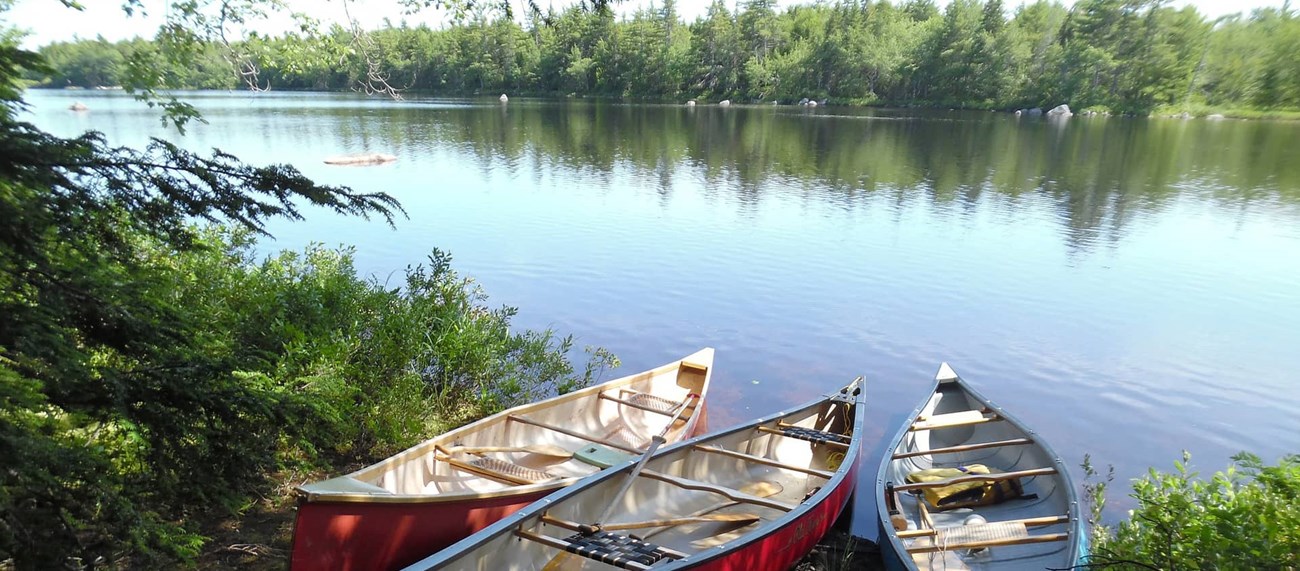 Kanoter vid strandkanten till sjö