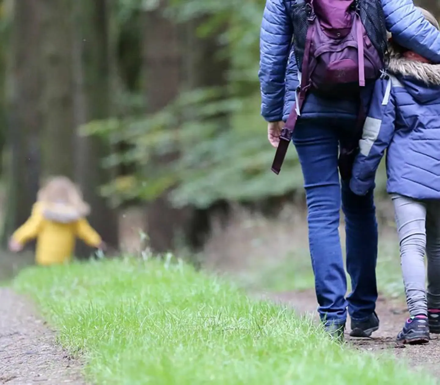 Barn och vuxen vandrar i skogen