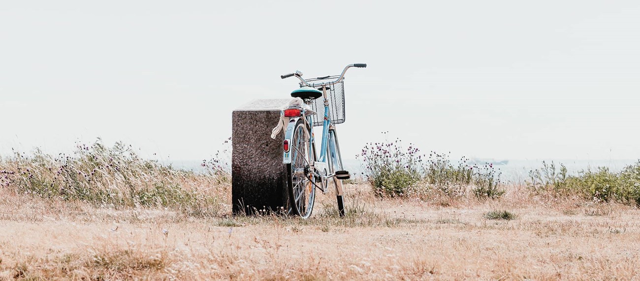 En blå gammal cykel parkerad vid en sten i en landskapsmiljö.