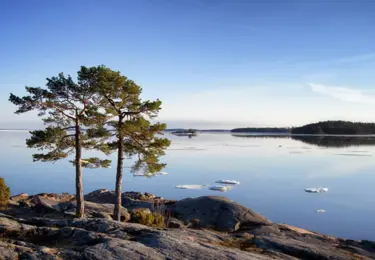 Utsikt från Junkön i Luleå