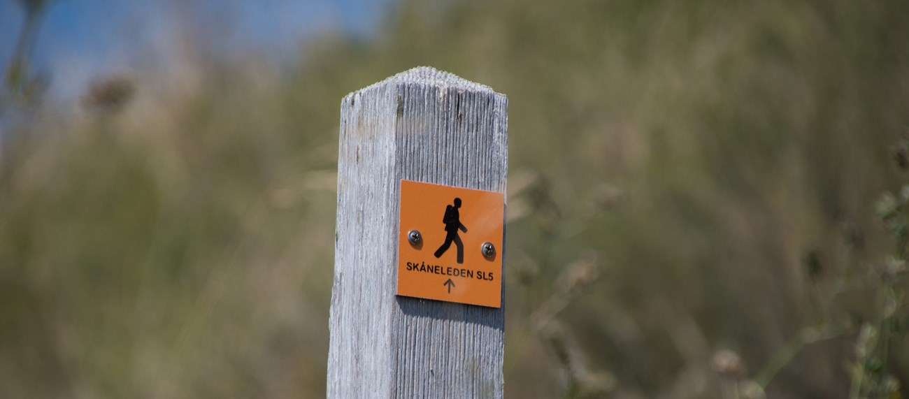En stolpe med en orange skylt som markerar riktning för Skåneleden SL5