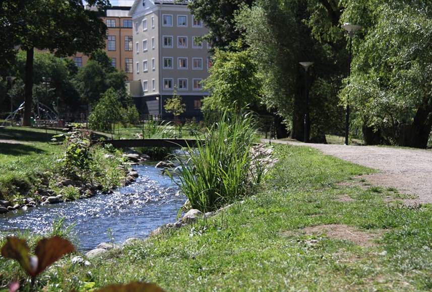Park med en forsande bäck och en bro i Norrköping