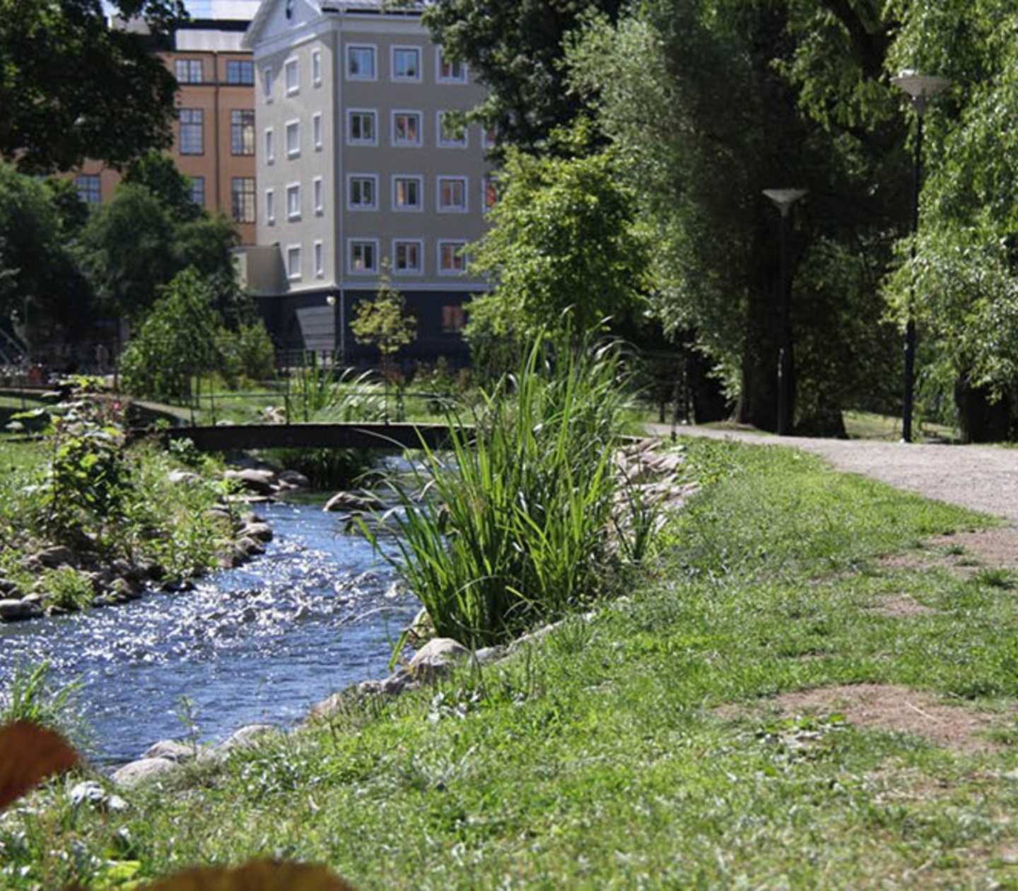 Park med en forsande bäck och en bro i Norrköping