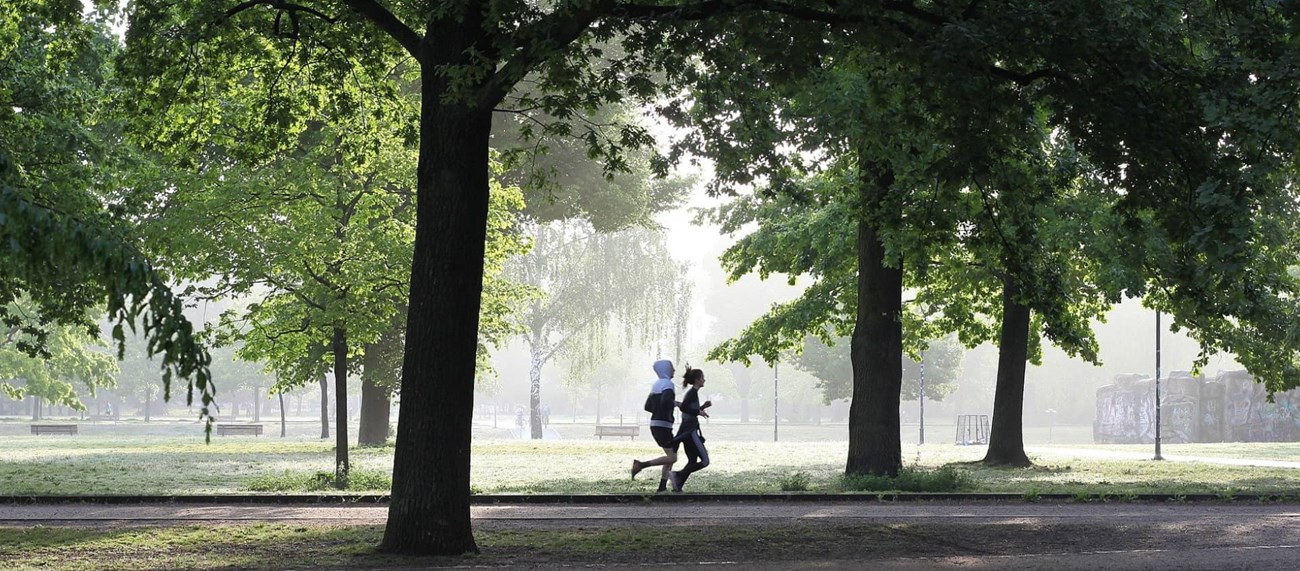 Ett par löptränar i en park