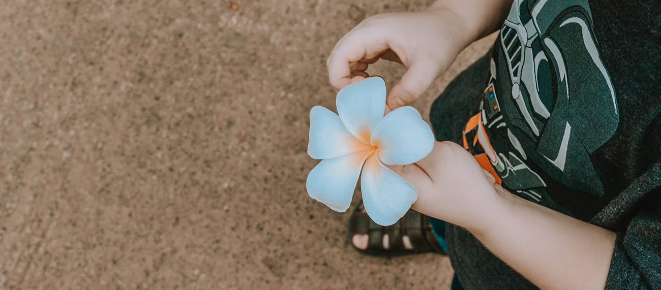 Barn med vit blomma i handen