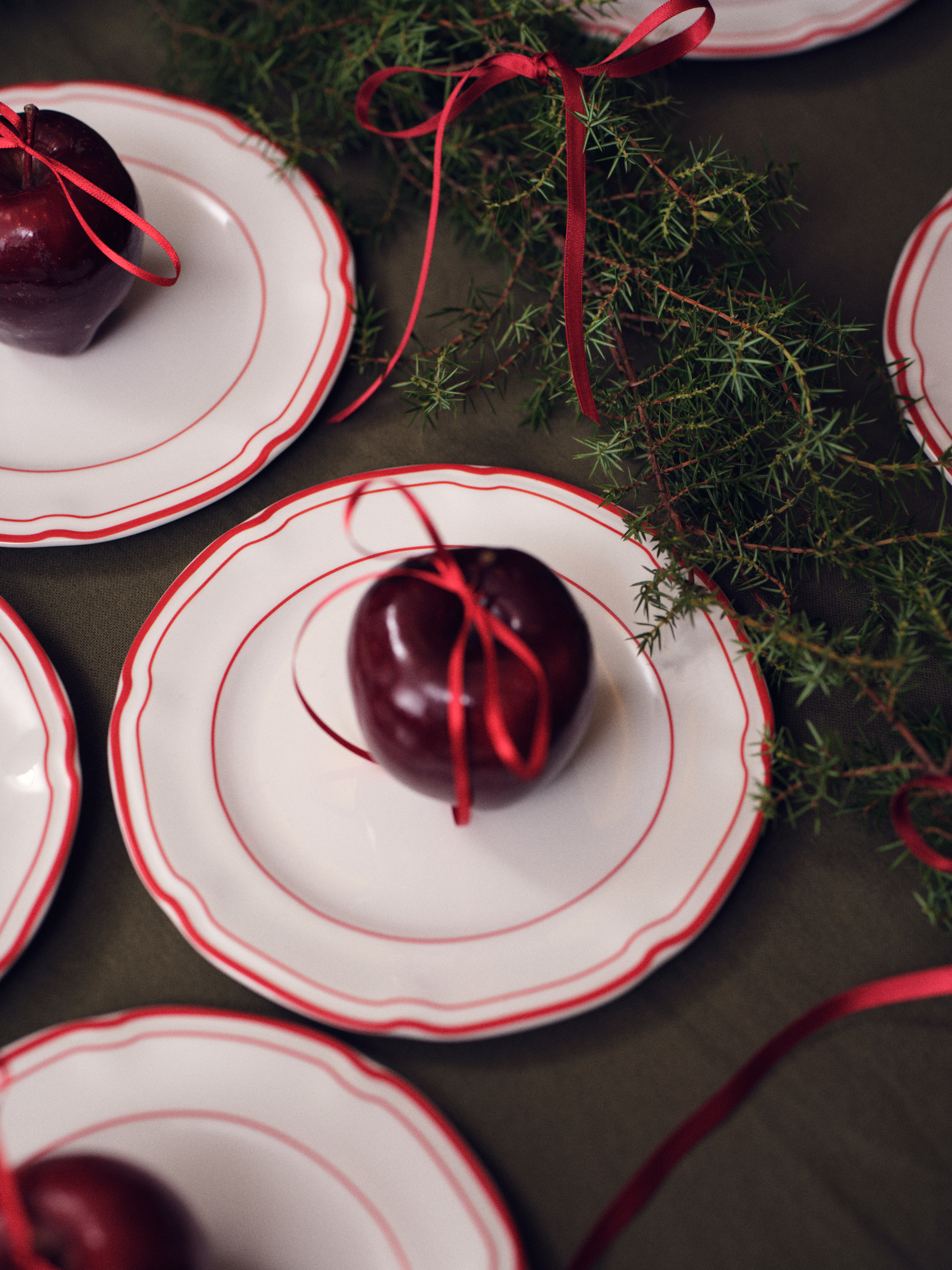 Red ornaments on white plates