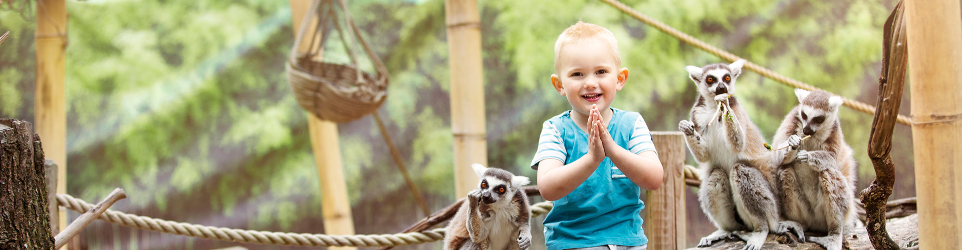 Ett glatt barn bredvid apor
