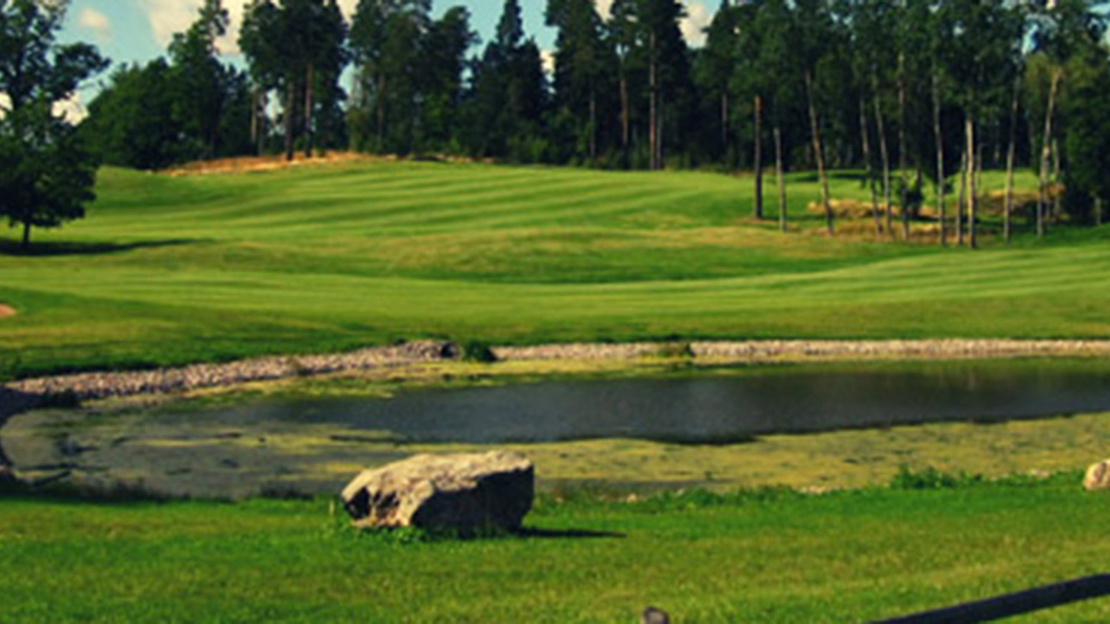 An empty golf course with water and trees