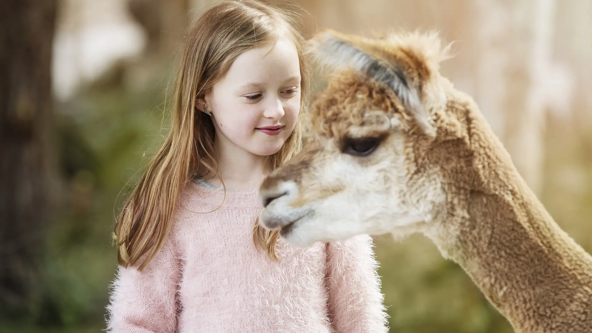 Young girl smiling at an alpaca in a natural setting