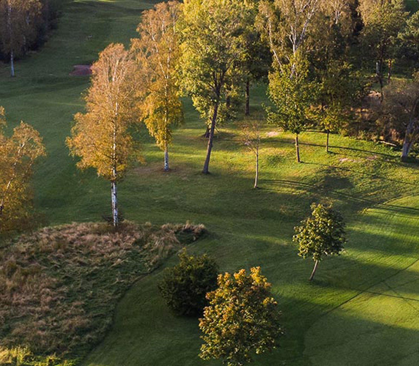 Stor golfbana med skogsdungar och damm