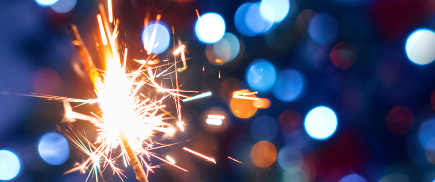 Närbild på tomtebloss