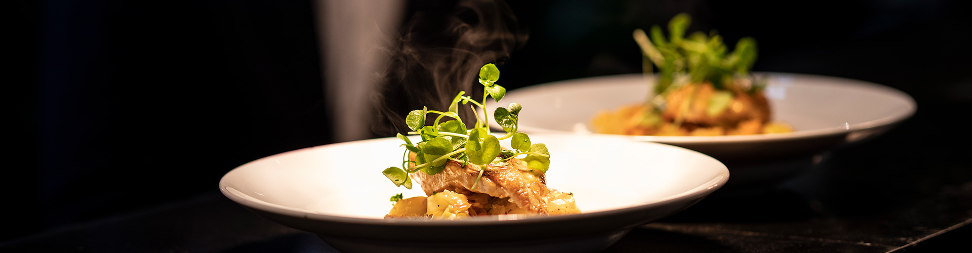 Två fin upplagda maträtter