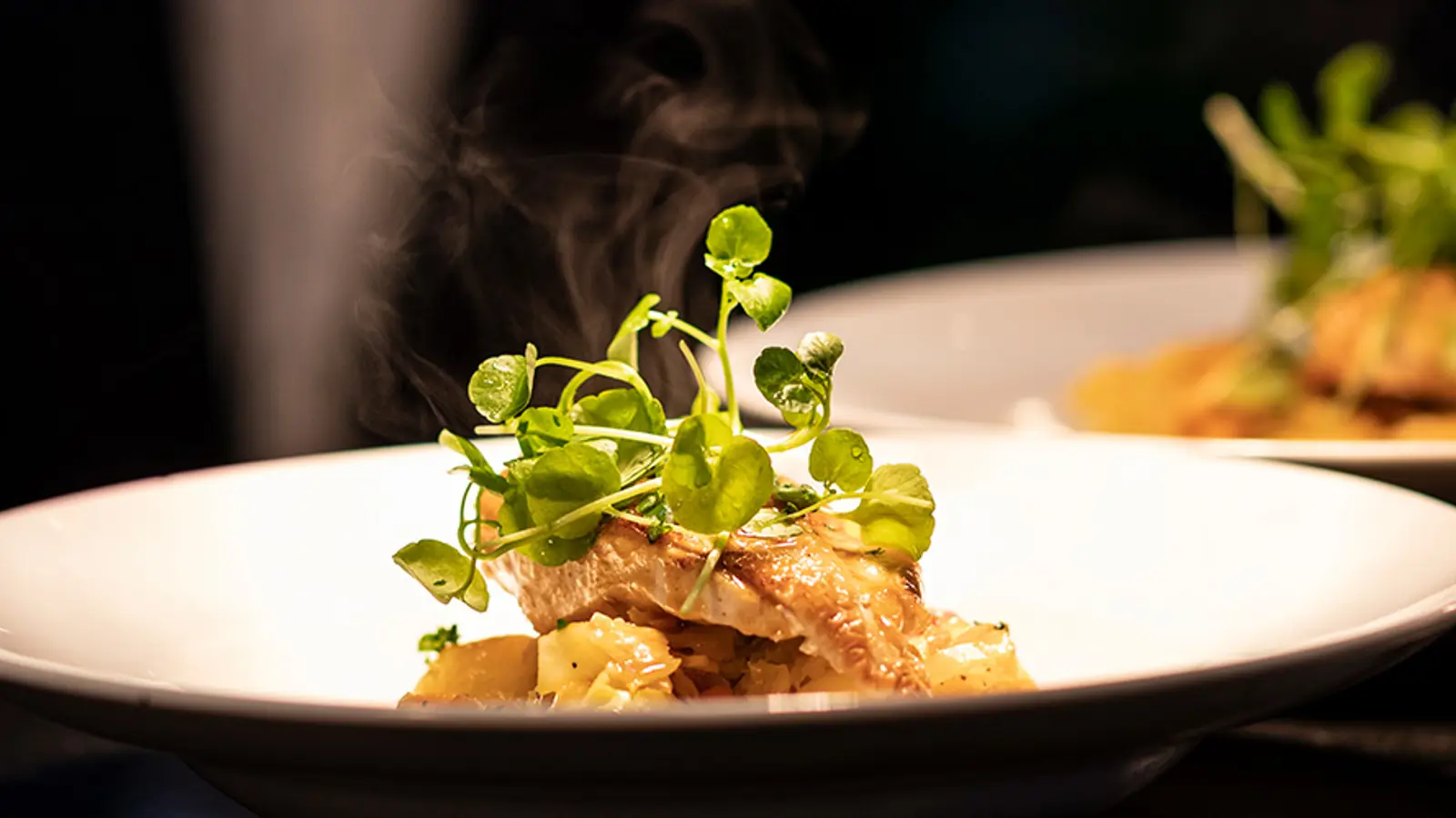 Två fin upplagda maträtter