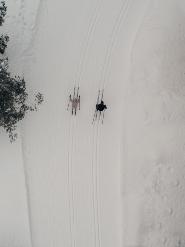Two cross-country skiers photographed from above
