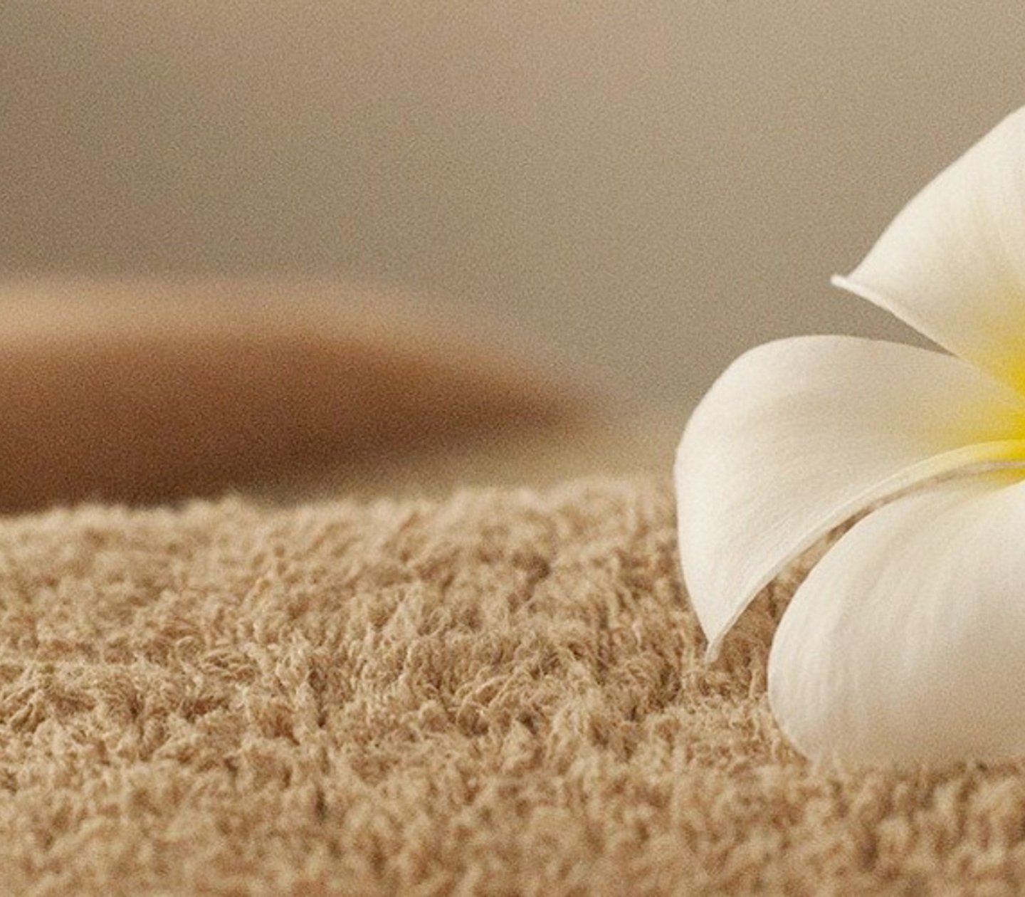 Towel with flowers and a bright background