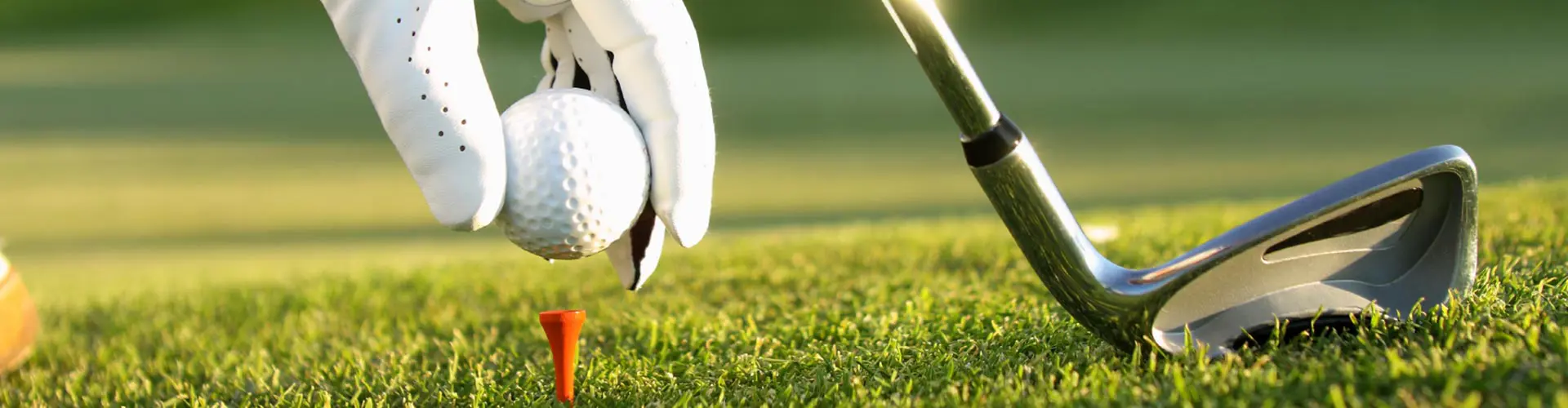 En golfboll och golfklubb inzoomade