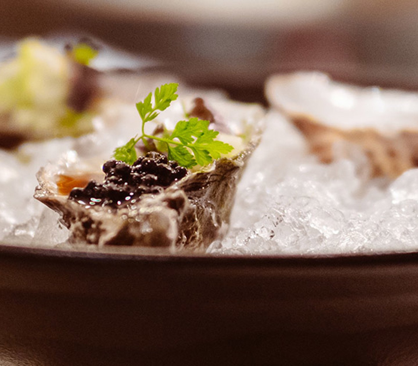 Oysters served on a dish with crushed ice