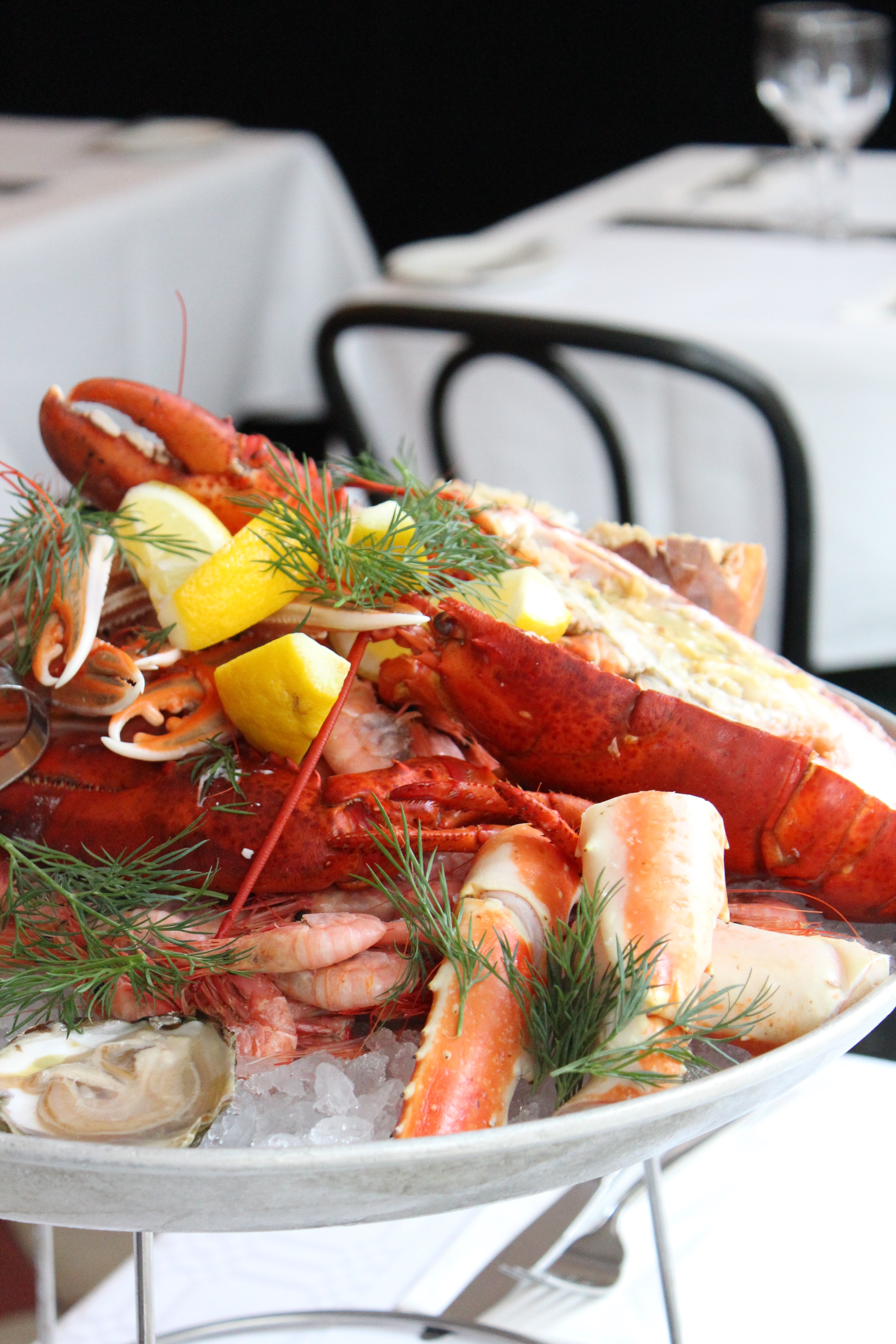 Oysters served on a dish with crushed ice