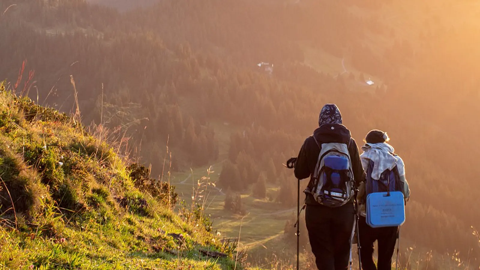 Man på hike i skog