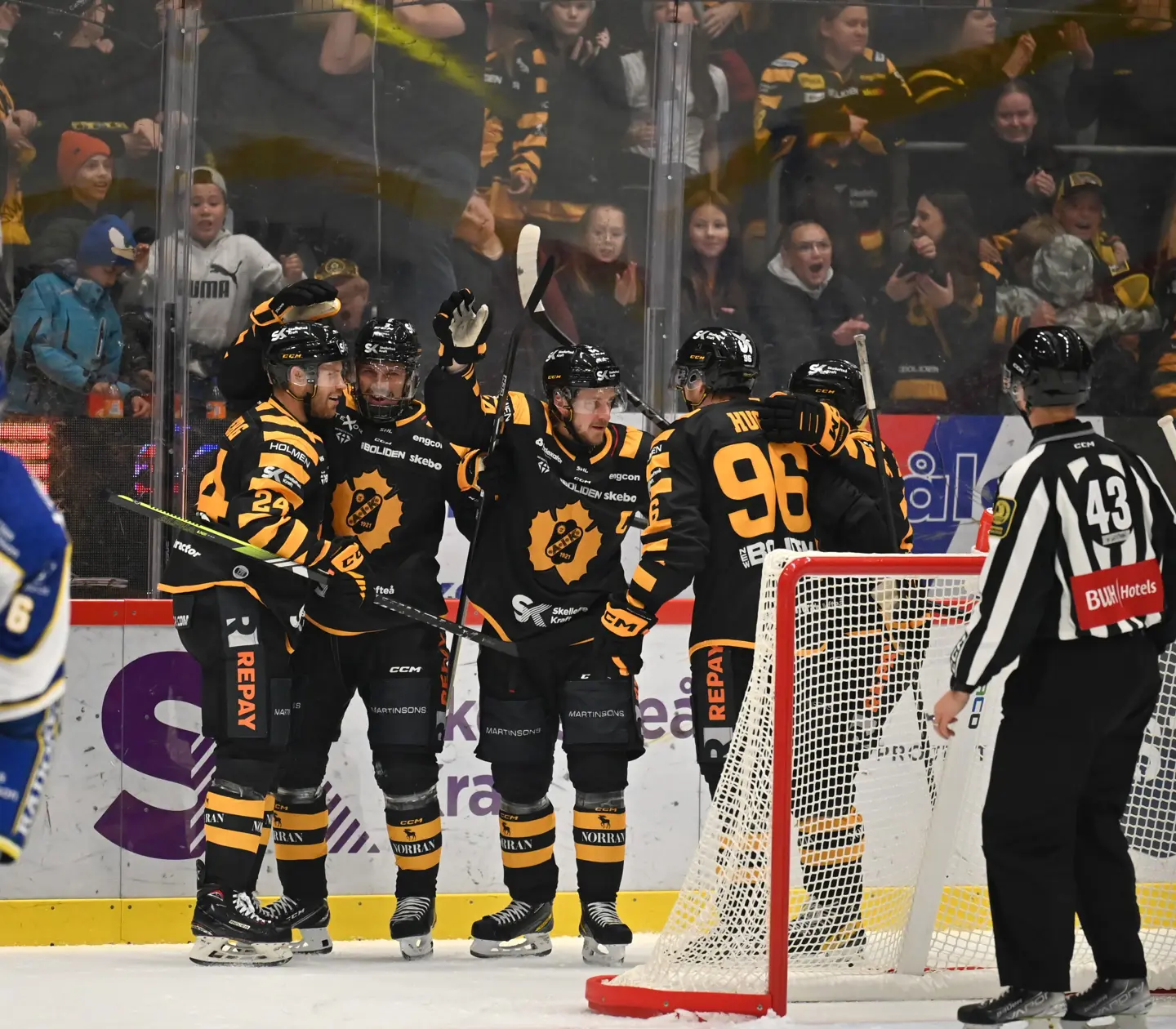 Happy audience at a hockey match
