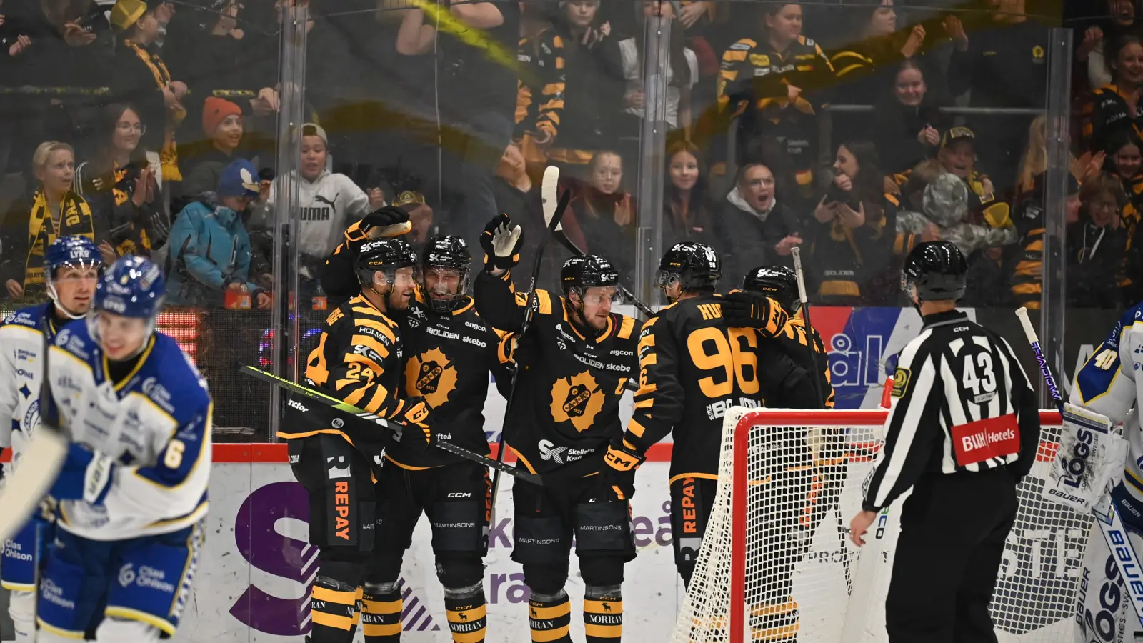 Happy audience at a hockey match