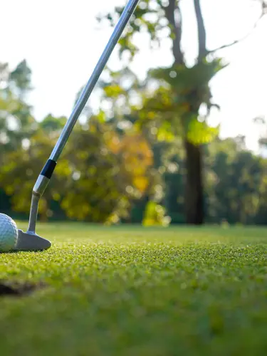 Golfklubba nära till att sänka en golfboll på greenen med solljuset som filtreras genom träden i bakgrunden.