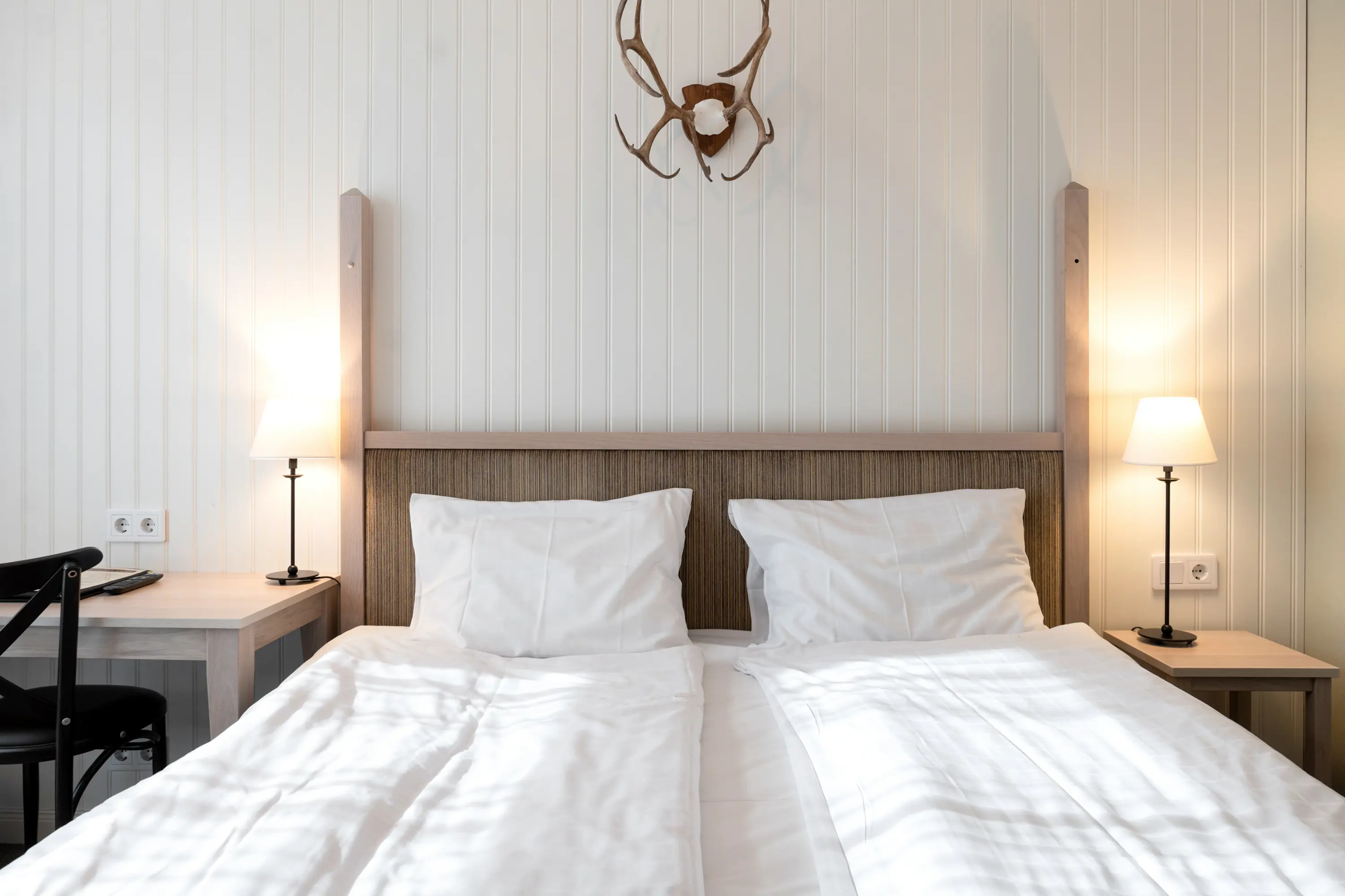 Mysigt hotellrum med säng, skrivbord och djurhorn på väggen