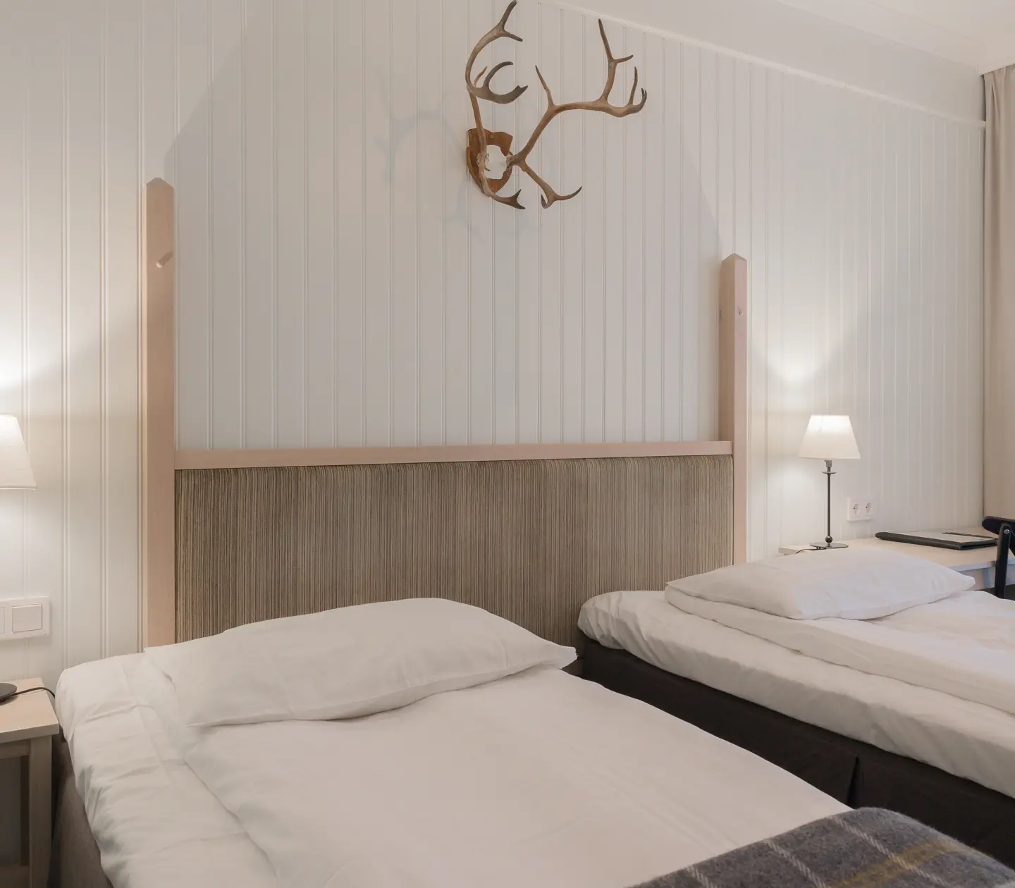 Mysigt hotellrum med separerade sängar, skrivbord och djurhorn på väggen